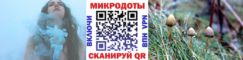 Галлюциногенные грибы прущие грибы  Заполярный 